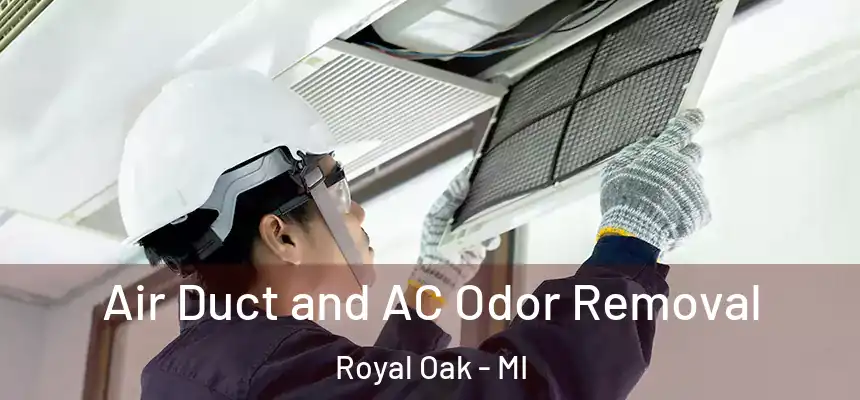 Air Duct and AC Odor Removal Royal Oak - MI