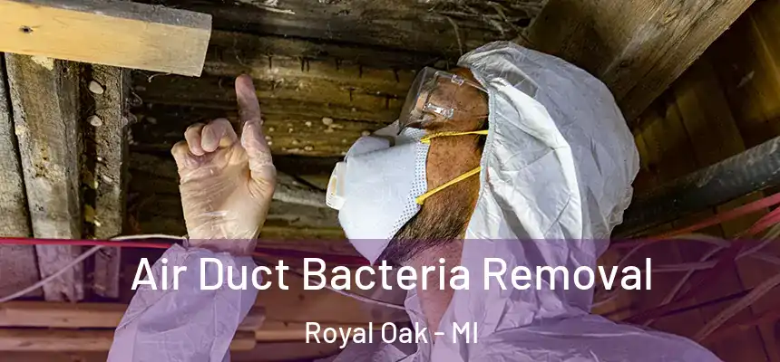  Air Duct Bacteria Removal Royal Oak - MI