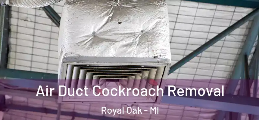  Air Duct Cockroach Removal Royal Oak - MI