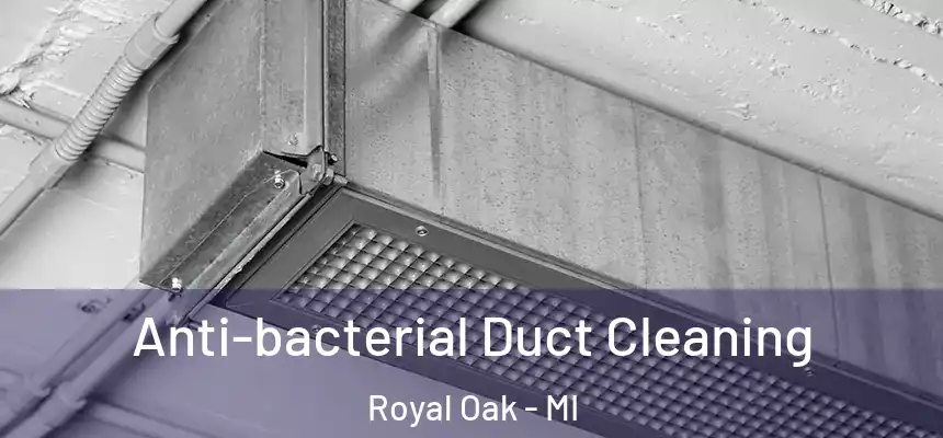 Anti-bacterial Duct Cleaning Royal Oak - MI