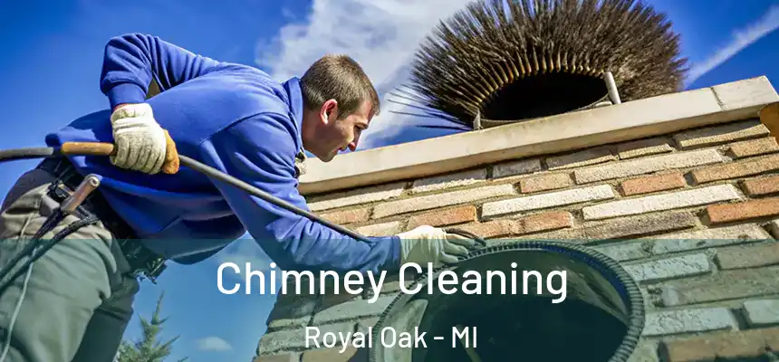  Chimney Cleaning Royal Oak - MI