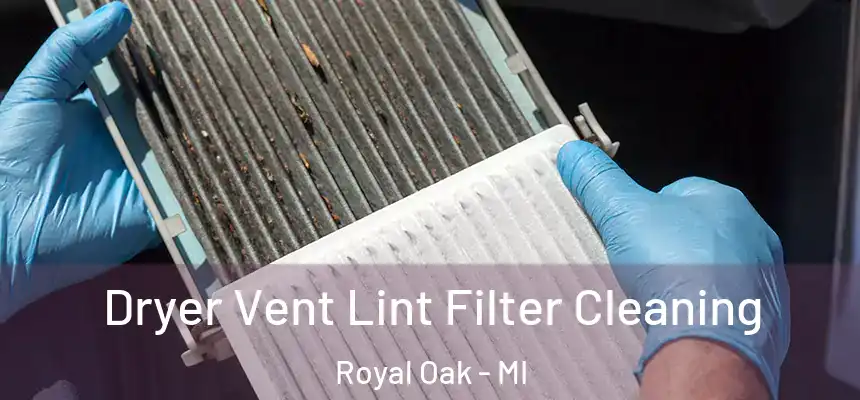  Dryer Vent Lint Filter Cleaning Royal Oak - MI