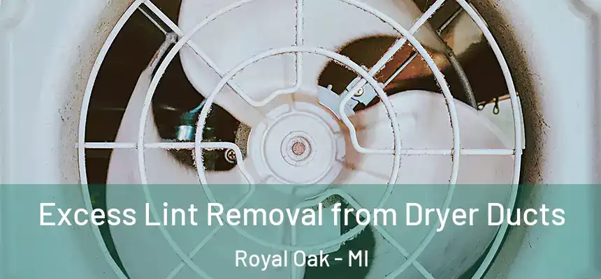 Excess Lint Removal from Dryer Ducts Royal Oak - MI