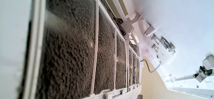 Preventive Air Duct Bacteria Removal in Royal Oak