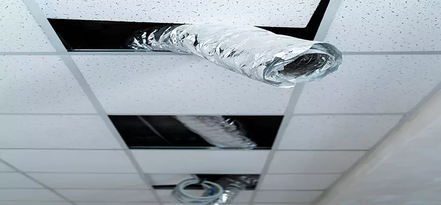 Affordable HVAC Sanitizing After Pest Removal in Royal Oak