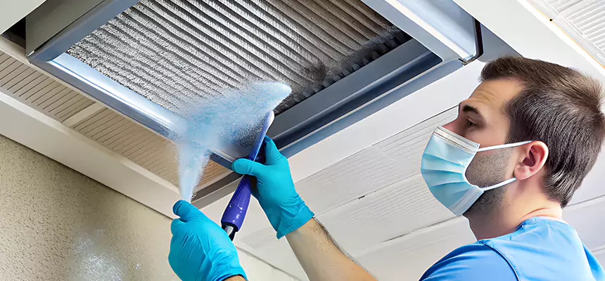 Proactive Dryer Vent & Auxiliary Duct Pollen Cleanup in Royal Oak, MI