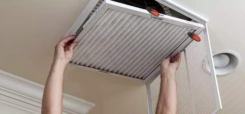 Our Insect Removal from Air Ducts Services in Royal Oak, MI