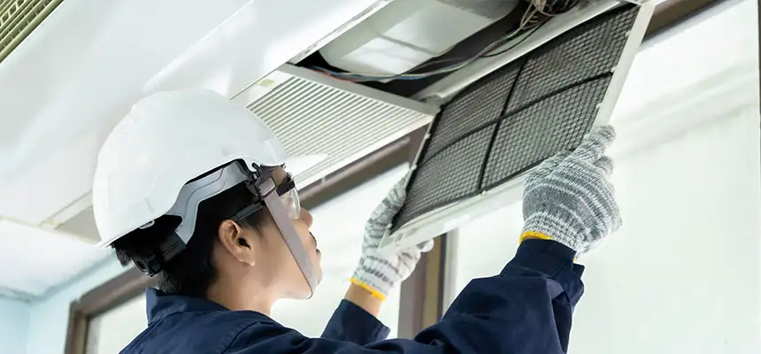 Our Lint Trap Cleaning Service Services in Royal Oak, MI