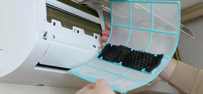 Gentle Ductwork Odor-Control Pet Dander Duct Cleaning in Royal Oak, MI