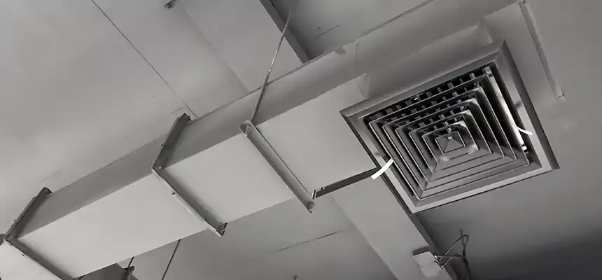 Our Rodent Droppings In Vents Services in Royal Oak, MI