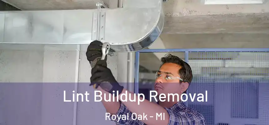  Lint Buildup Removal Royal Oak - MI