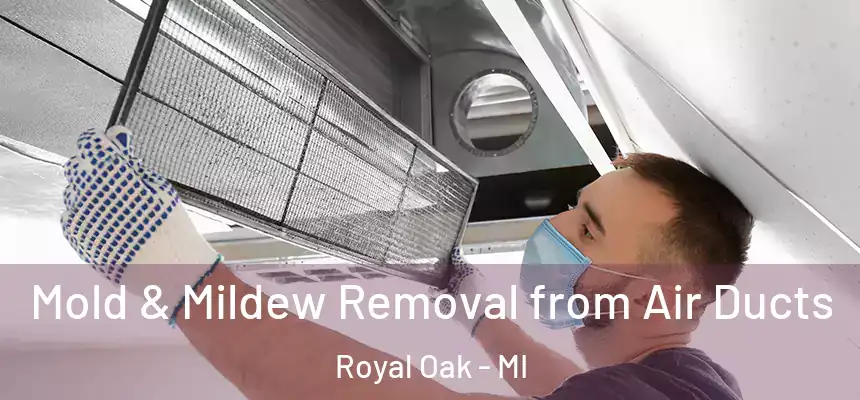 Mold & Mildew Removal from Air Ducts Royal Oak - MI