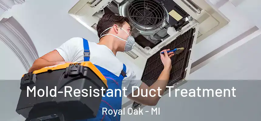 Mold-Resistant Duct Treatment Royal Oak - MI
