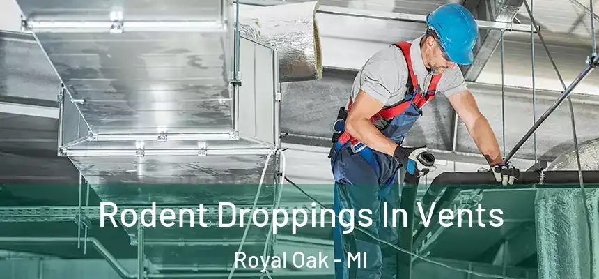  Rodent Droppings In Vents Royal Oak - MI