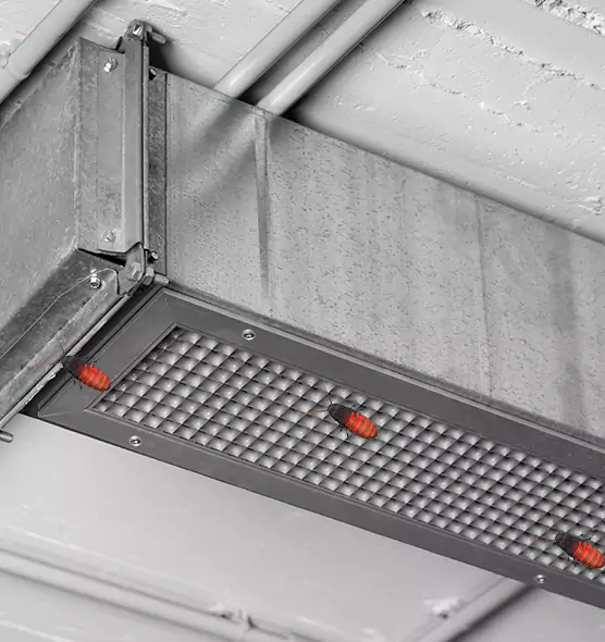 Affordable Insect Removal from Air Ducts in Royal Oak, MI
