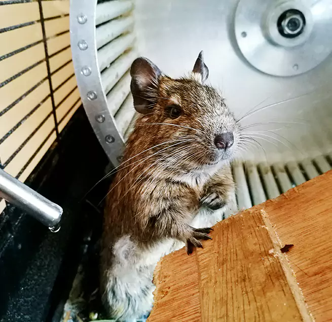 Why Homeowners & Businesses Trust Us Royal Oak, MI?