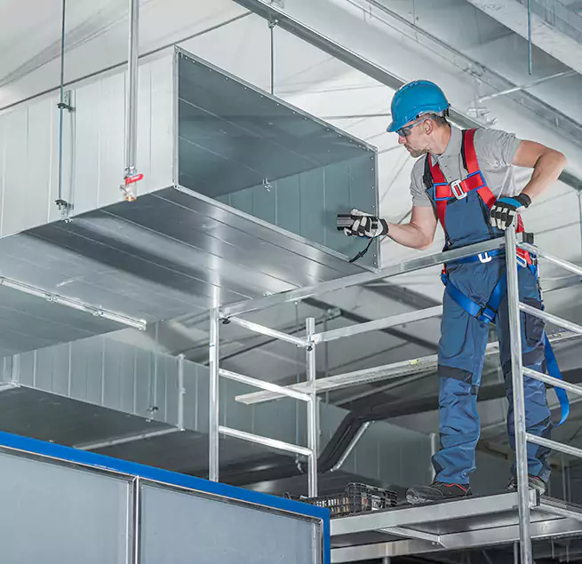 Why Homeowners & Businesses Trust Us in Royal Oak, MI?