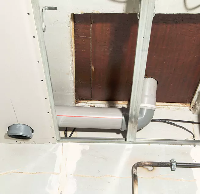 Why Homeowners & Businesses Trust Us in Royal Oak, MI?