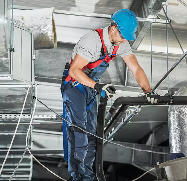 Why Homeowners & Businesses Trust Us in Royal Oak, MI?