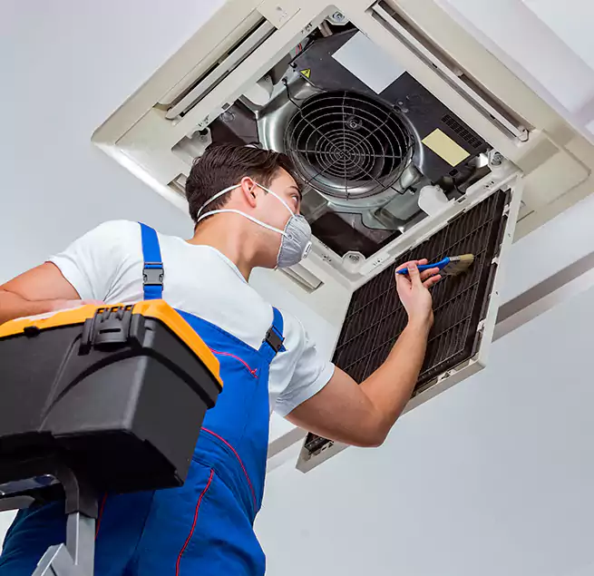 Why Homeowners & Businesses Trust Us in Royal Oak, MI