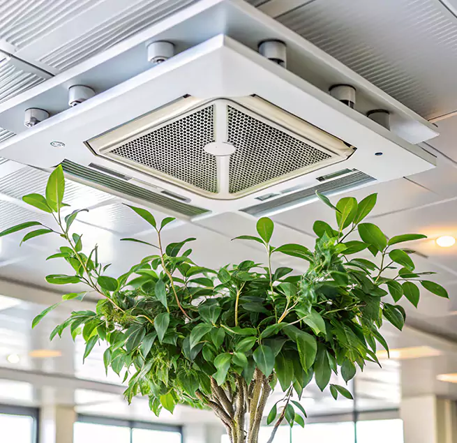 Why Homeowners & Businesses Trust Us in Royal Oak, MI