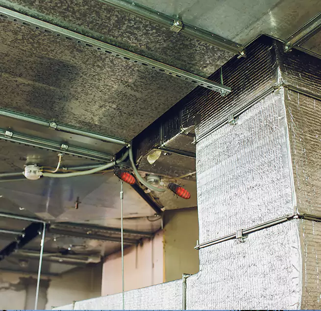 Why Homeowners & Businesses Trust Us Royal Oak, MI?