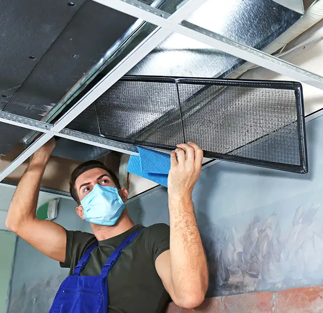 Why Homeowners & Businesses Trust Us in Royal Oak, MI?