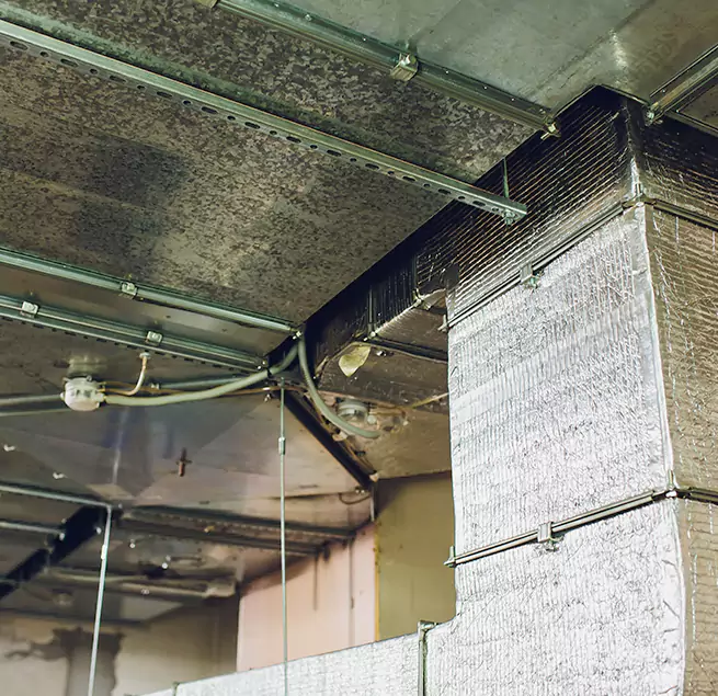 Why Homeowners & Businesses Trust Us in Royal Oak, MI?