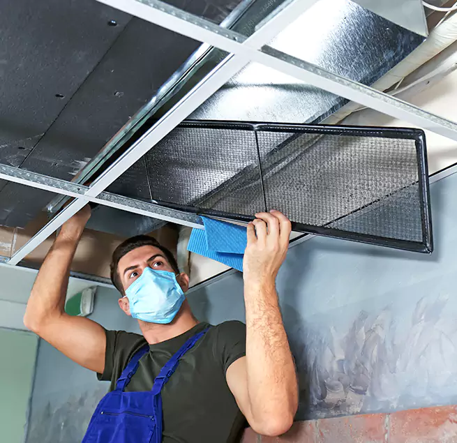 Why Homeowners & Businesses Trust Us in Royal Oak, MI?