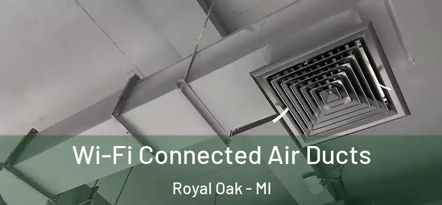 Wi-Fi Connected Air Ducts Royal Oak - MI